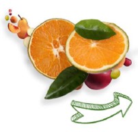 espirulina vs frutas y verduras